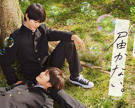 泛页面关键词3202